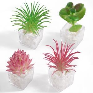 4PCS Plant Locker & Fridge Magnets, Cute 3D Succulent Decorative Magnets for Ref